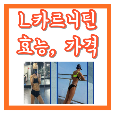 L-카르니틴