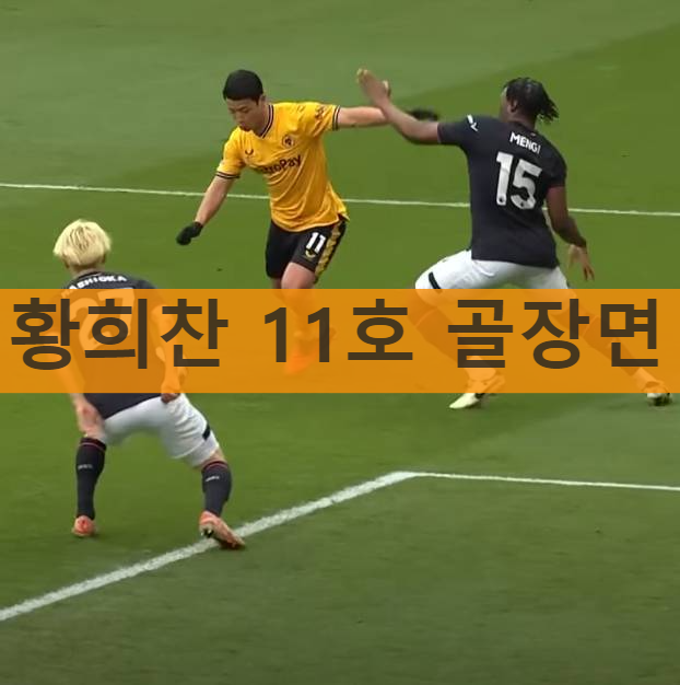 황희찬 11호 골장면