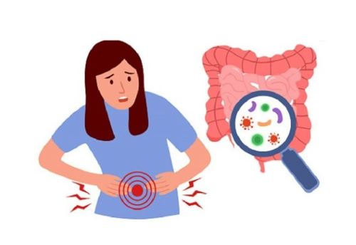 살모넬라 식중독 일러스트 이미지