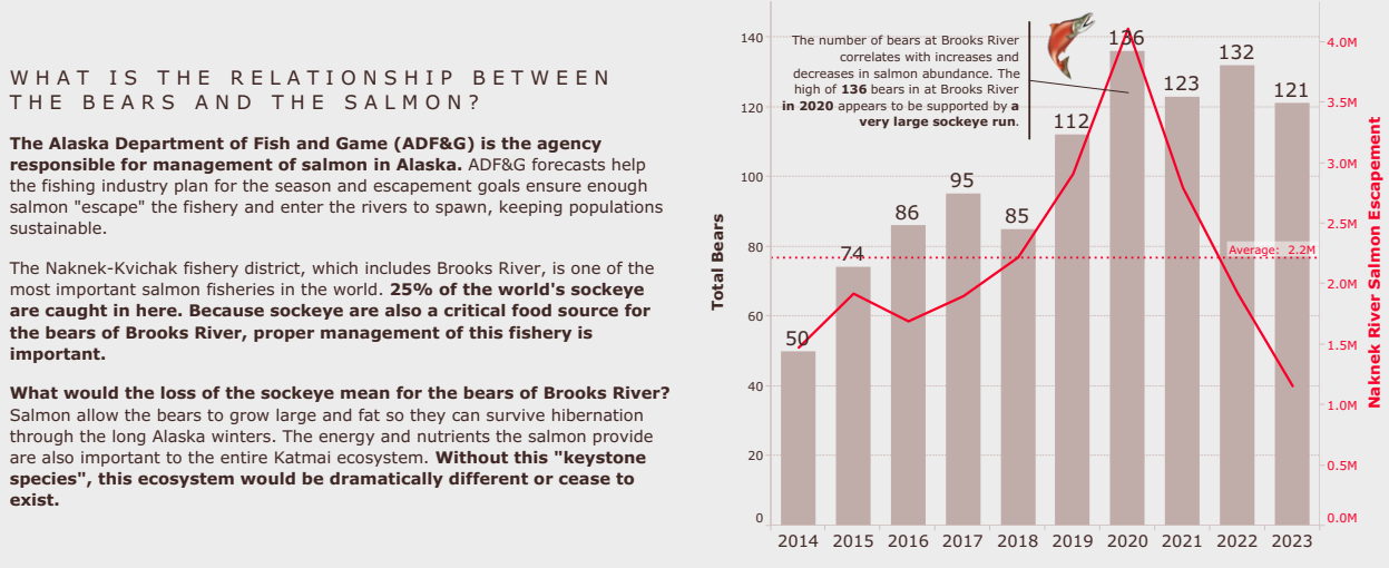 The relationship between the bears and the salmon
