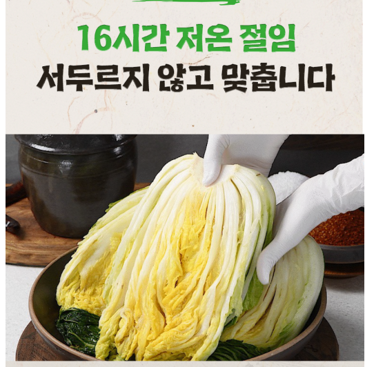 해남배추