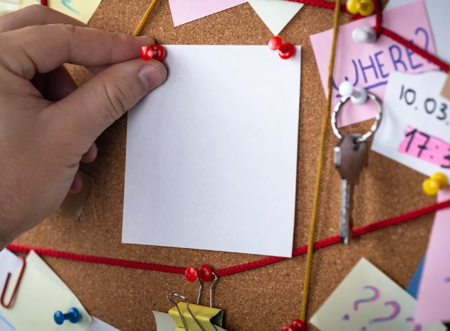 시장-조사-사진