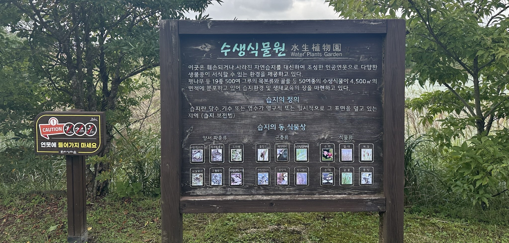 한라생태숲 수생식물원