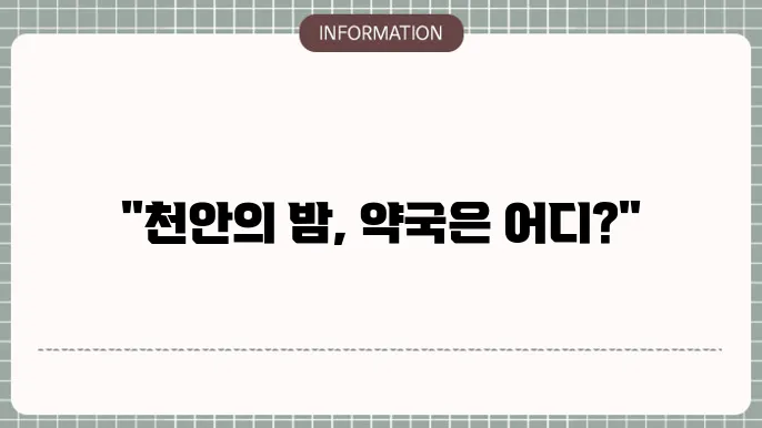 천안 24시 약국 찾는방법