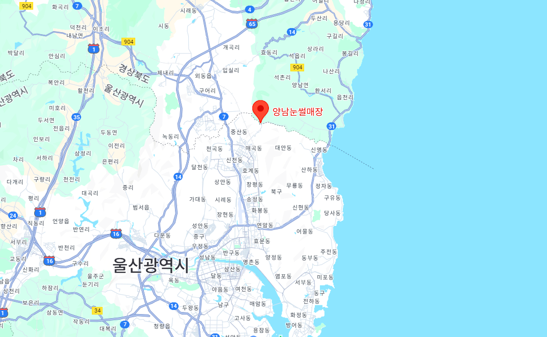 경주 양남 눈썰매장
