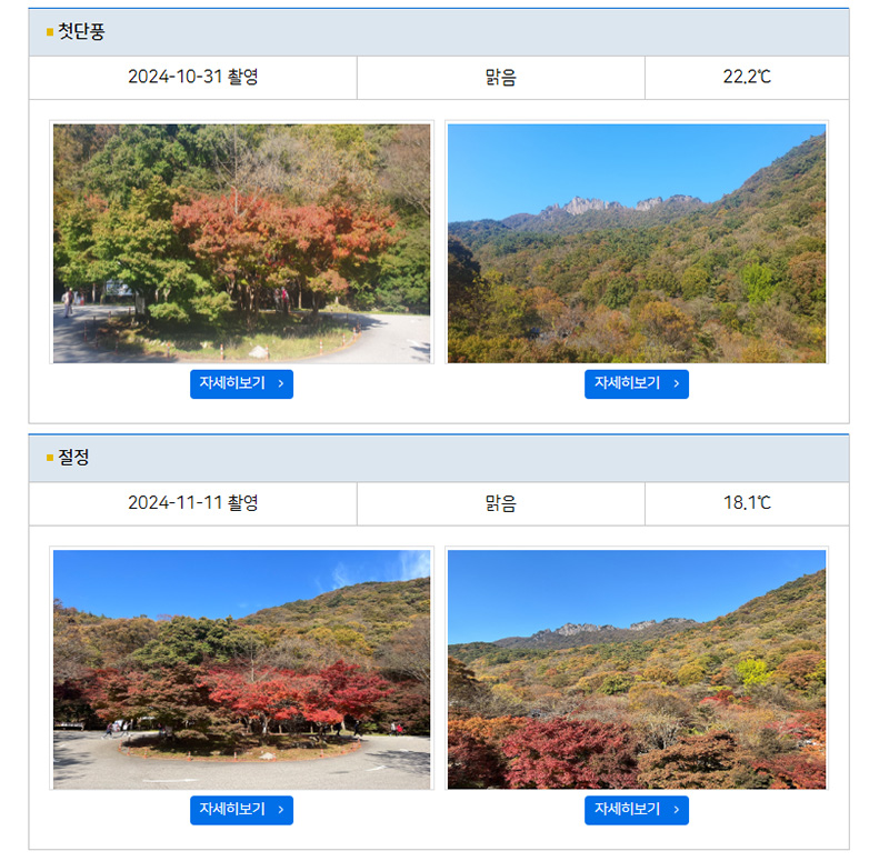 단풍절정 시기 단풍 현황 단풍 명소 내장산