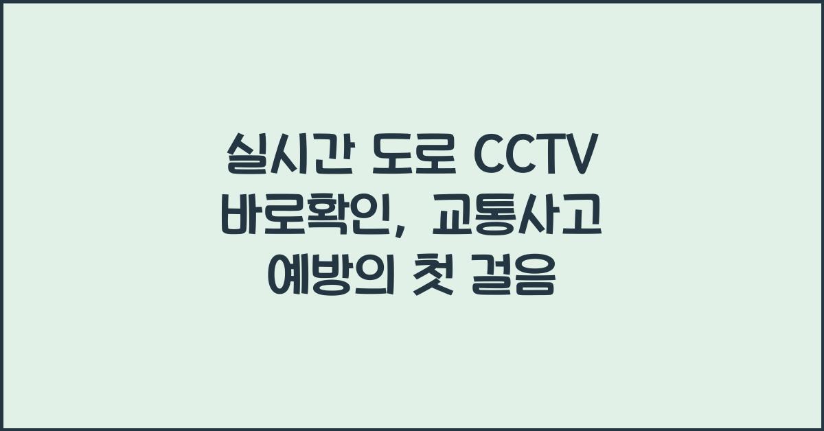 실시간 도로 cctv 바로확인