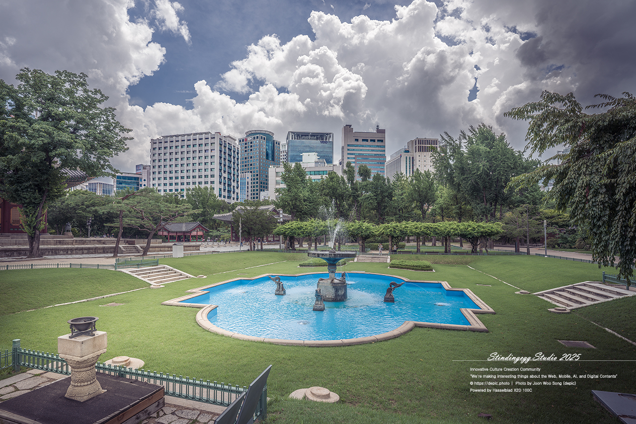 #서울 #대한제국 #덕수궁 #궁궐 #배롱꽃