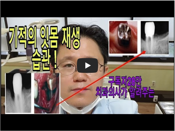 의사 / 의학 정보 유튜버 순위 TOP 10 1