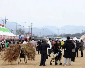 양촌 곶감축제_12