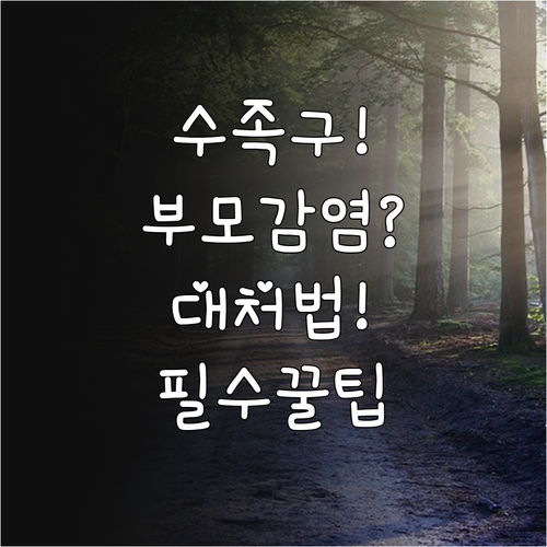 엄마 아빠가 수족구에 걸렸을 때 대처..