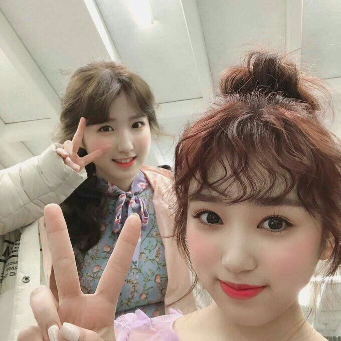 아이즈원 프로듀스48 사진 모음 아이즈원 프로듀스48 사진 모음