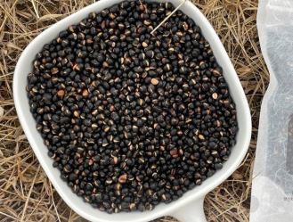 전립선에 좋은 음식