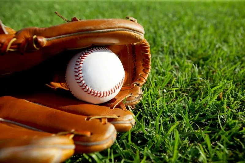 스포츠 중계 사이트