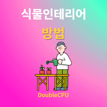 식물인테리어 방법