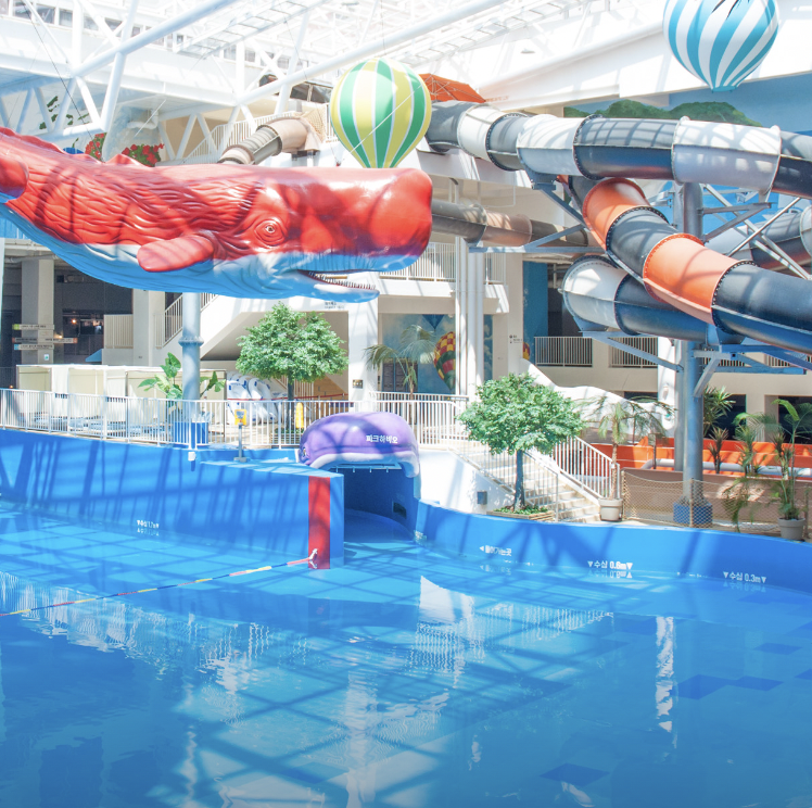 파크하비오워터킹덤워터파크