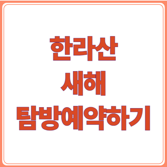 2026 한라산 새해 탐방예약 총정리 (예약방법 + 꿀팁까지!)