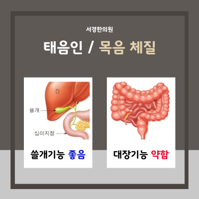 8체질의학 목음체질