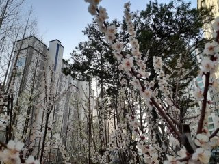 필로티 구조 설계 목적