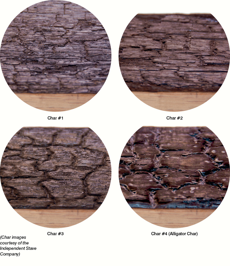 차르 1~4 레벨별 사진