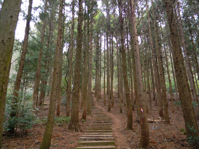 고근산