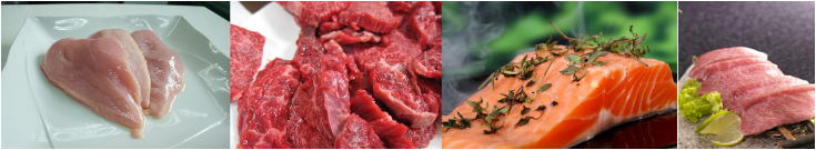 닭 가슴살, 소고기,연어, 참치