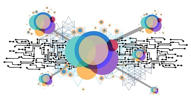 다이어트 성공을 위해 뇌를 속이는 심리 전략