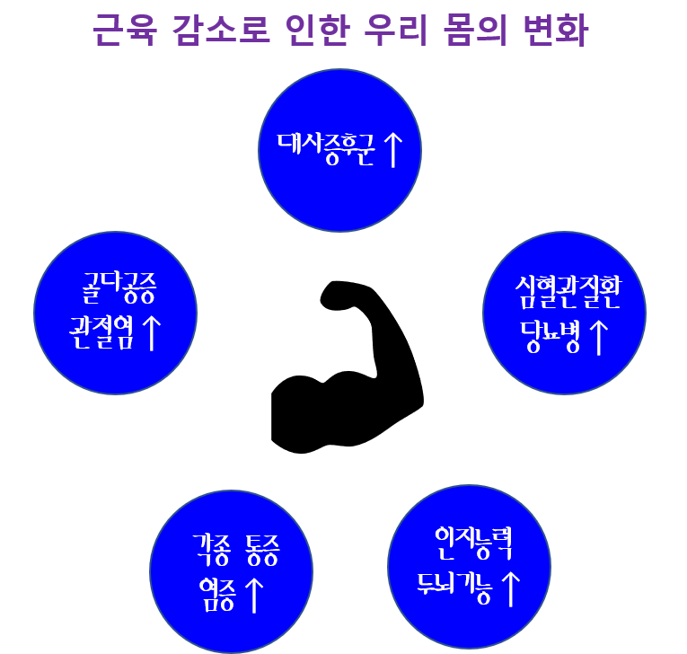 근육