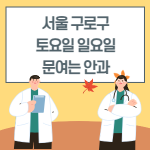 서울 구로구 토요일 일요일 안과 진료 병원 리스트