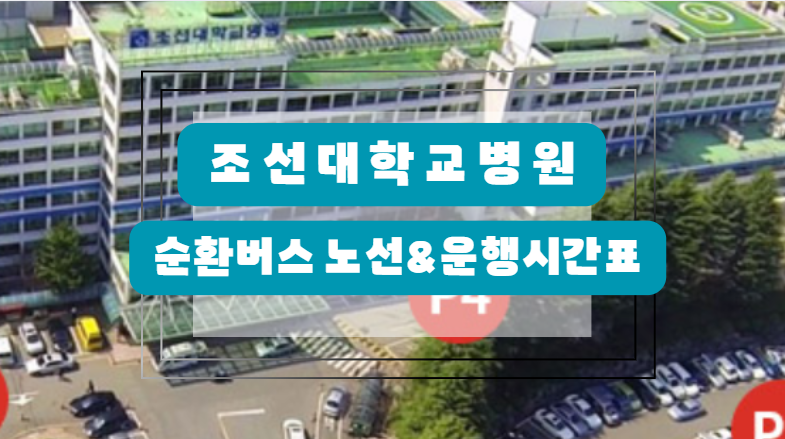 조선대학교병원 순환버스