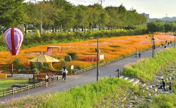 장성 황룡강 가을꽃축제 (행사정보&amp;#44;주차요금&amp;#44;입장료)