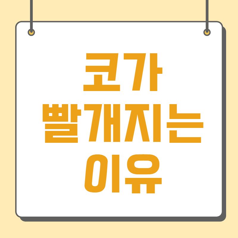 코가 빨개지는 이유