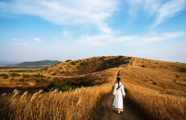 제주 새별오름 억새와 함께하는 가을 여행 억새 명소