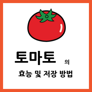 토마토