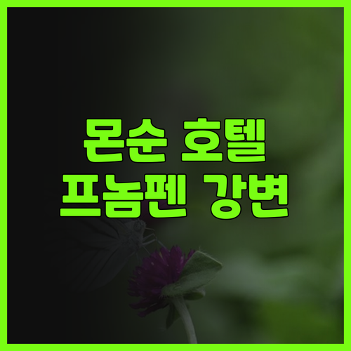 몬순 부티크 호텔 & 스파 후기 강변