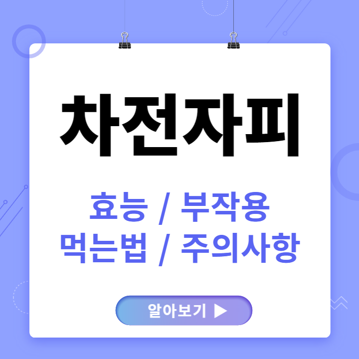 차전자피의 효능 핵심은 '이것'