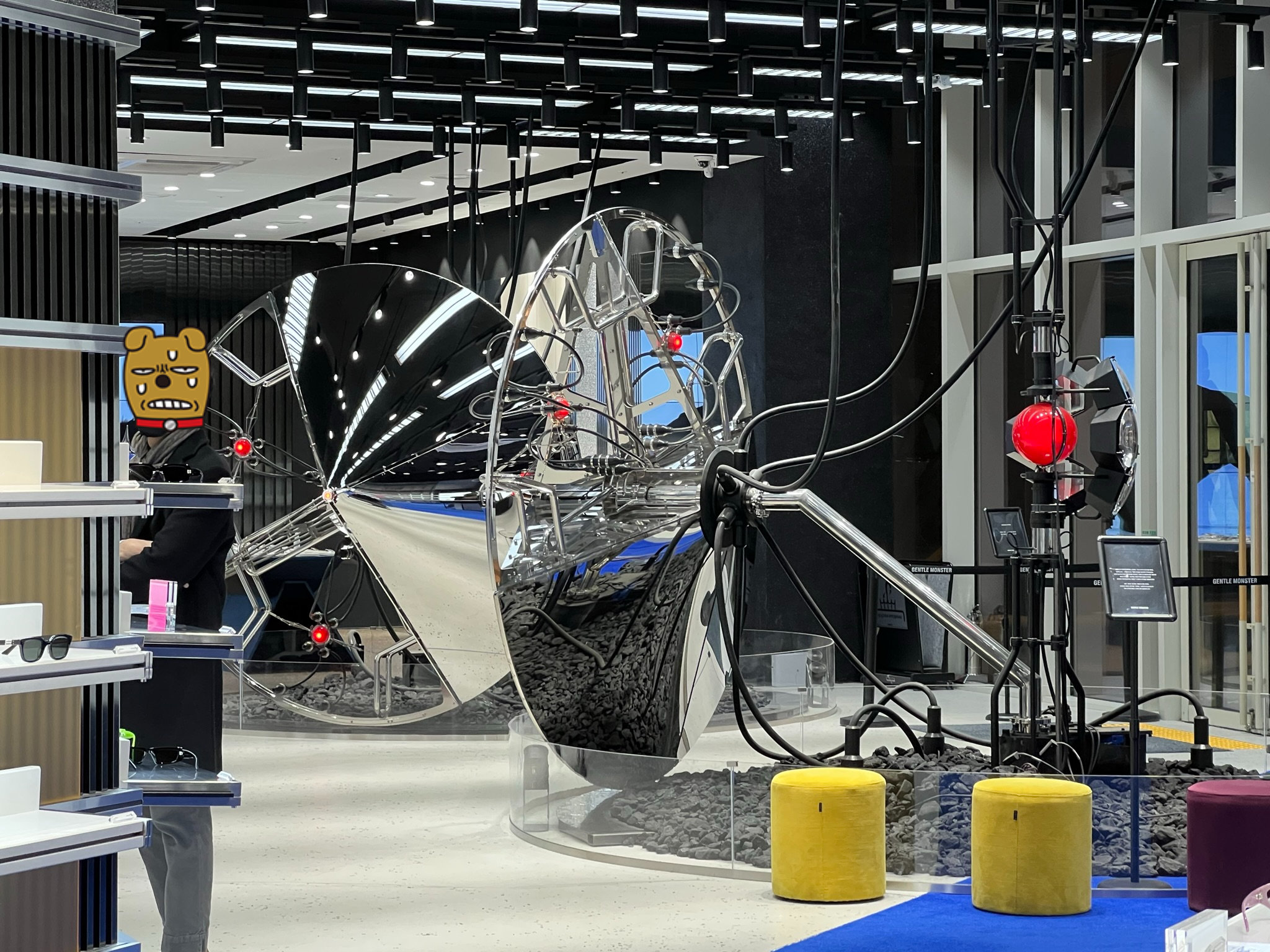 동탄-롯데배화점-젠틀몬스터-선글라스-구매