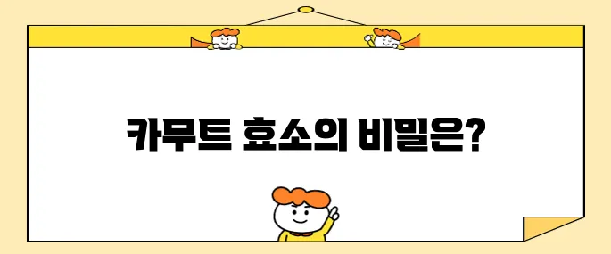 카무트 효소의 놀라운 효능과 효과
