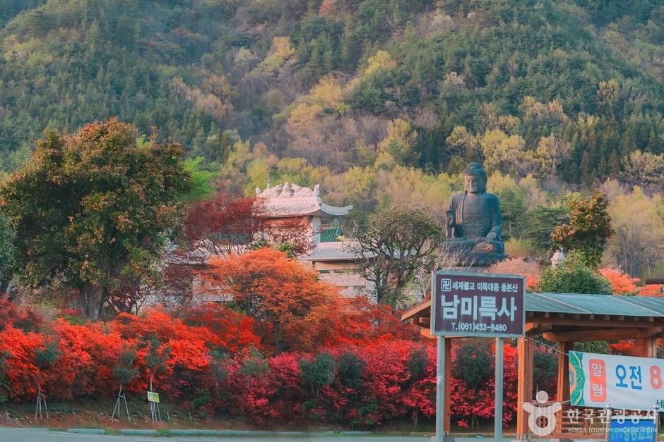 강진 가볼만한곳 베스트10