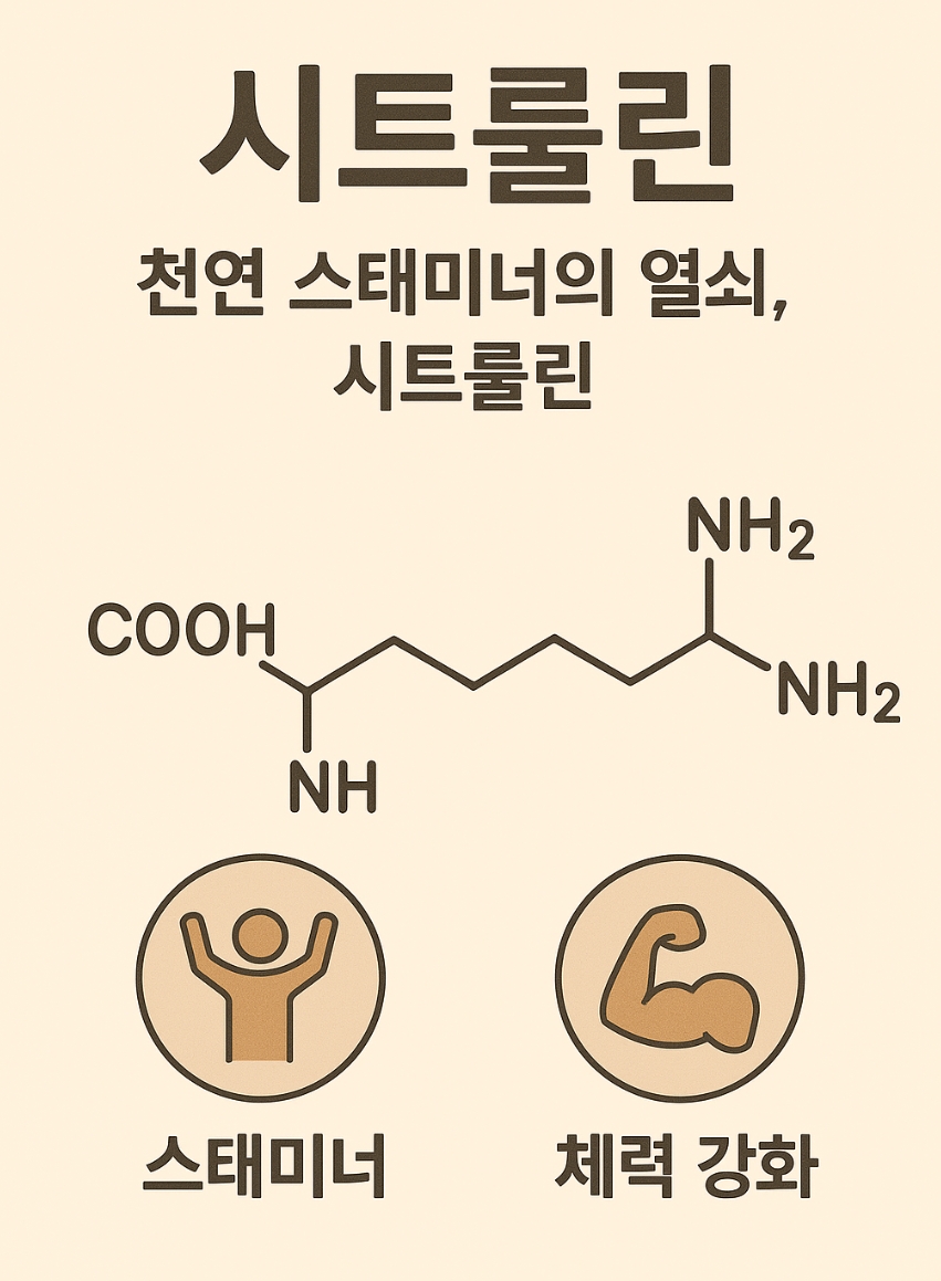 시트룰린