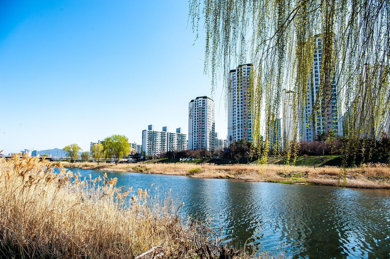한국 아파트 이미지