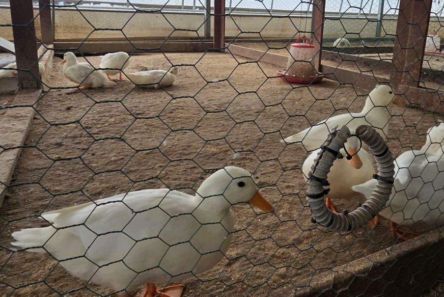 헤븐온어스 농장