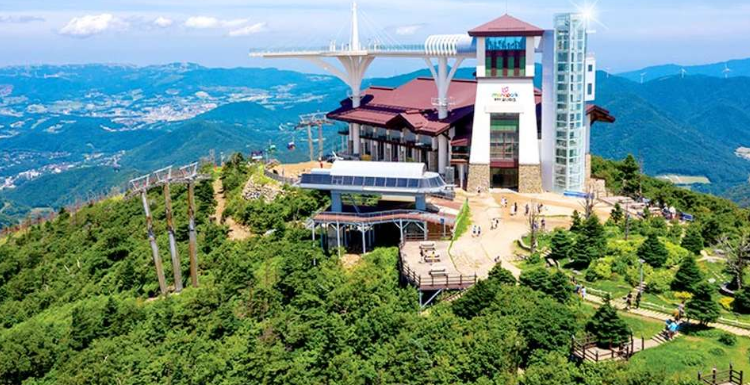 발왕산 스카이워크