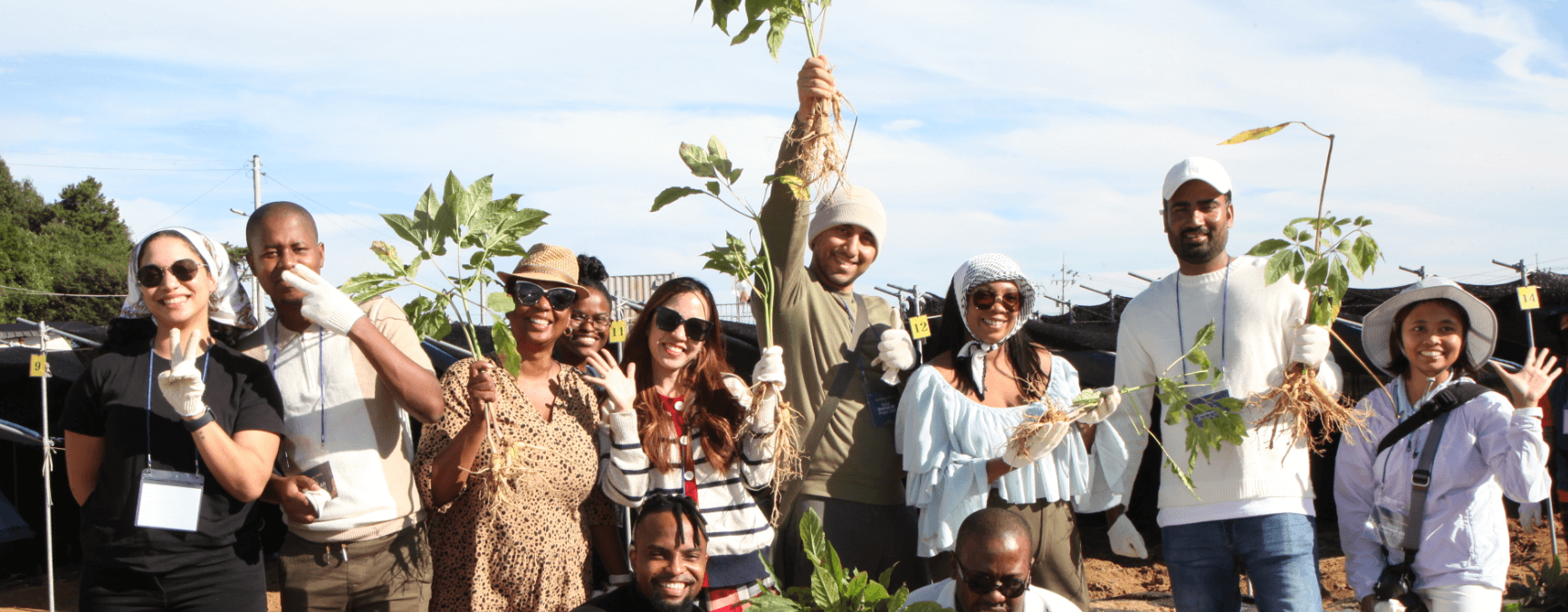 금산세계인삼축제 주요 볼거리