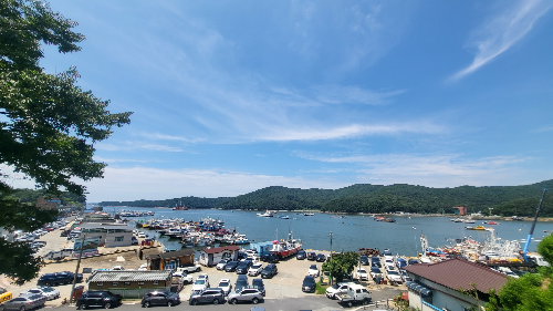 보령 충청수영성 동백꽃필무렵 촬영지