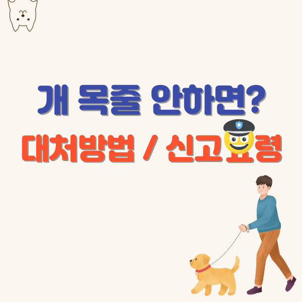 개-목줄-포스팅-썸네일