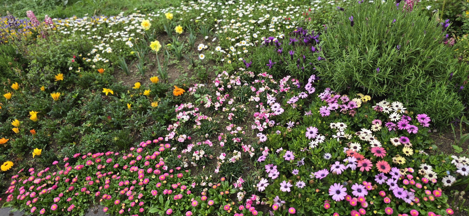 튜울맆 직접 찍은 사진