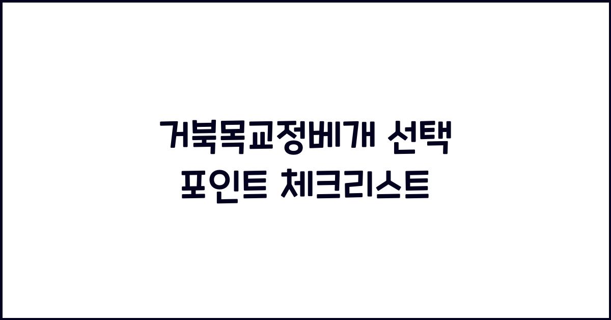 거북목교정베개