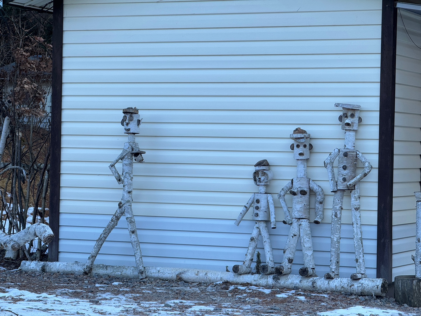 인제 자작나무숲