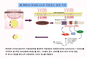 브이올렛
